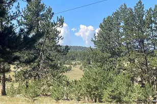 3943 Co Rd 403, Lake George, CO 80827 - Photo 32