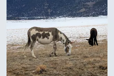 00 High Creek Drive, Hartsel, CO 80449 - Photo 44