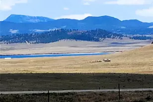 105 Moffat Ln, Hartsel, CO 80449 - Photo 1