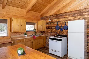 1001 County Rd 17, Lake City, CO 81235 - Photo 10