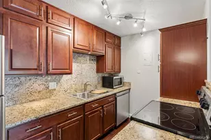 1233 N Ogden St, Denver, CO 80218 - Photo 8