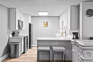 1233 N Ogden St, Denver, CO 80218 - Photo 32