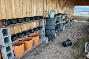 27028 Garo Park Dr, Blanca, CO 81123 - Photo 22