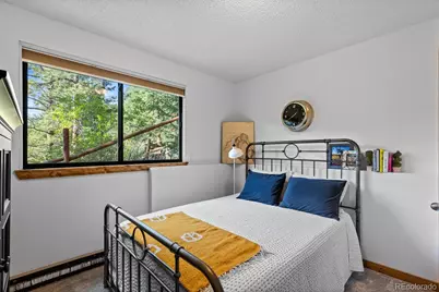 129 Silver Springs Road, Bailey, CO 80421 - Photo 24