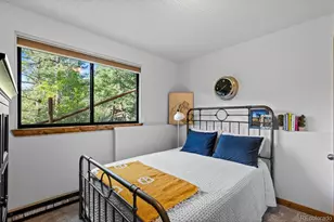 129 Silver Springs Rd, Bailey, CO 80421 - Photo 24