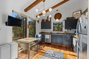 129 Silver Springs Rd, Bailey, CO 80421 - Photo 8