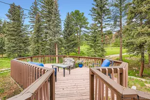 28268 Shadow Mountain Dr, Conifer, CO 80433 - Photo 18