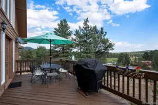 125 S Derail Ln, Lake George, CO 80827 - Photo 24
