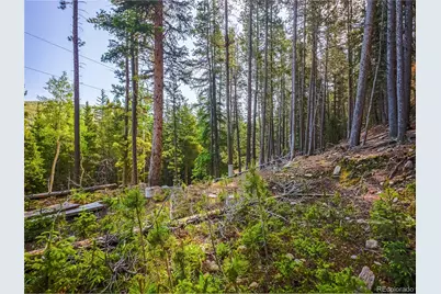 00 Valley View Drive, Idaho Springs, CO 80452 - Photo 14