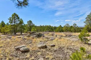 18673 N Elbert Rd, Elbert, CO 80106 - Photo 42