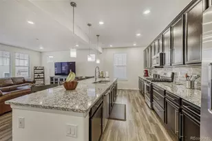 3300 Jonquil St, Castle Rock, CO 80109 - Photo 8