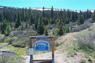 297 Robertson Ln, Breckenridge, CO 80424 - Photo 32