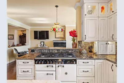 2124 Ridge Plaza Drive, Castle Rock, CO 80108 - Photo 20