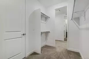 4024 Buttongrass Trl, Castle Rock, CO 80108 - Photo 8