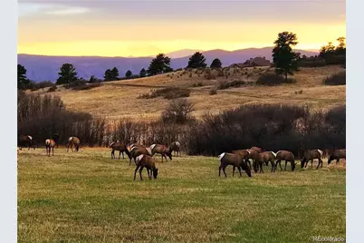846 Good Hope Drive, Castle Rock, CO 80108 - Photo 44