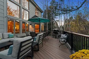 846 Good Hope Dr, Castle Rock, CO 80108 - Photo 10