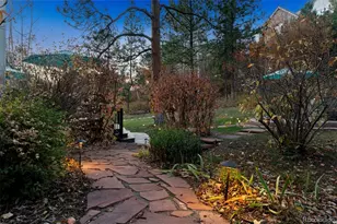 846 Good Hope Dr, Castle Rock, CO 80108 - Photo 12