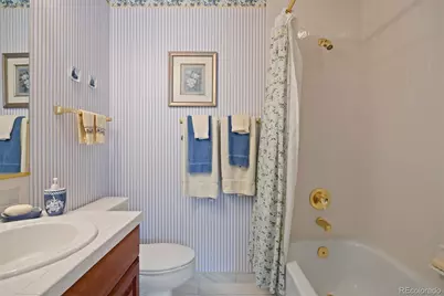 846 Good Hope Drive, Castle Rock, CO 80108 - Photo 28