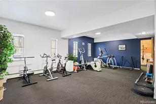 1050 N Corona Street, Denver, CO 80218 - Photo 20