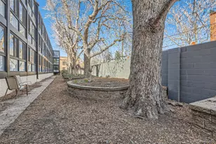 1050 N Corona Street, Denver, CO 80218 - Photo 28