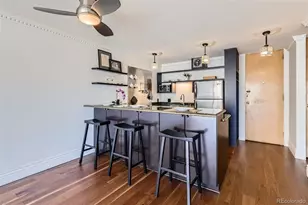 1050 N Corona Street, Denver, CO 80218 - Photo 10