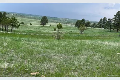 4560 County Road 114, Elizabeth, CO 80107 - Photo 6