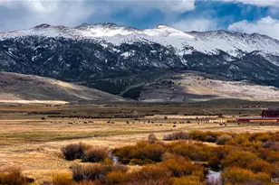 961 County Road 29, Walden, CO 80480 - Photo 8