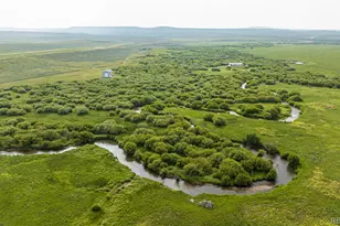 961 County Road 29, Walden, CO 80480 - Photo 26