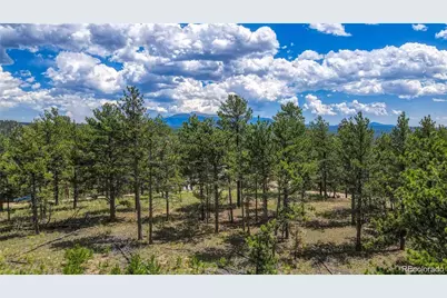 2075 Pikes Peak Drive, Florissant, CO 80816 - Photo 10