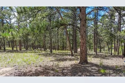 2075 Pikes Peak Drive, Florissant, CO 80816 - Photo 6