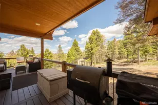 1540 Bolster Dr, Hartsel, CO 80449 - Photo 16