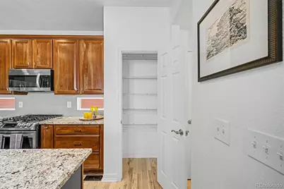 3164 Geneva Court, Denver, CO 80238 - Photo 22
