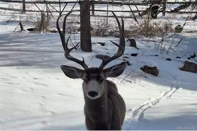 25956 E Jamison Circle S, Aurora, CO 80016 - Photo 46