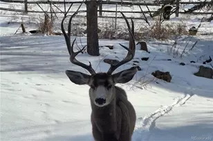 25956 E Jamison Cir S, Aurora, CO 80016 - Photo 46