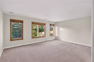 1247 Jesse Ct, Highlands Ranch, CO 80126 - Photo 40