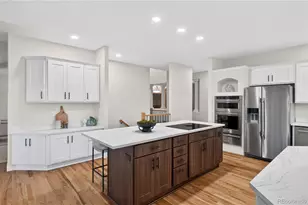 1247 Jesse Ct, Highlands Ranch, CO 80126 - Photo 18