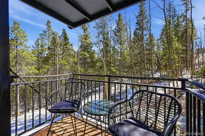 410 N Aspen Street, Alma, CO 80420 - Photo 12