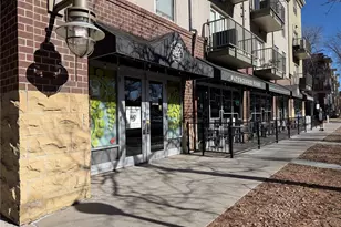 1700 N Emerson Street, Denver, CO 80218 - Photo 34