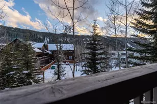 135 Dercum Dr, Keystone, CO 80435 - Photo 20