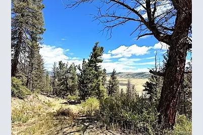2022 Middle Fork Vista, Fairplay, CO 80440 - Photo 2