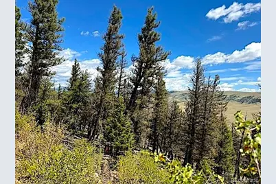 2022 Middle Fork Vista, Fairplay, CO 80440 - Photo 12
