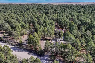 36424 Forest Trail, Elizabeth, CO 80107 - Photo 46
