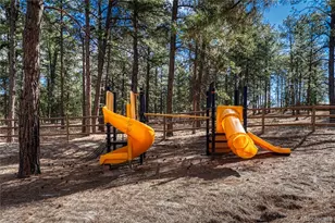 36424 Forest Trail, Elizabeth, CO 80107 - Photo 42