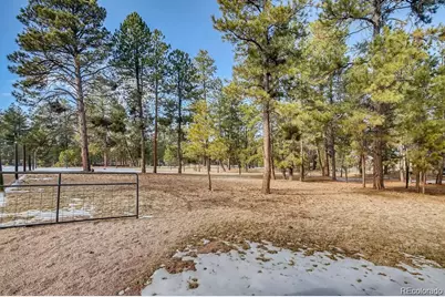 36424 Forest Trail, Elizabeth, CO 80107 - Photo 2