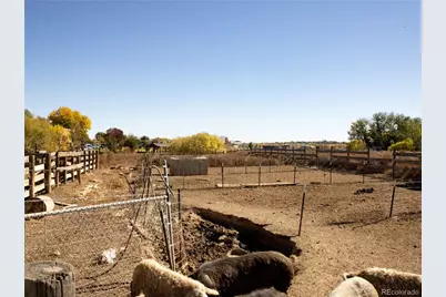 162 Farm Museum Lane, Loveland, CO 80537 - Photo 24