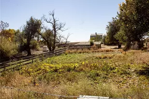 162 Farm Museum Ln, Loveland, CO 80537 - Photo 18