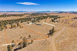 2226 Pitchfork Rd, Hartsel, CO 80449 - Photo 1