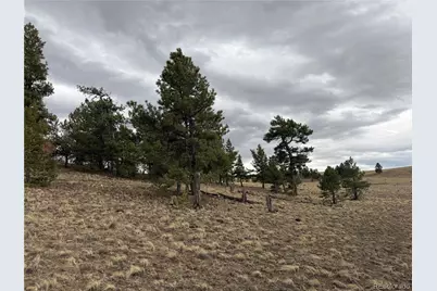 990 Coyotero Trail, Hartsel, CO 80449 - Photo 18