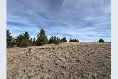 990 Coyotero Trail, Hartsel, CO 80449 - Photo 2