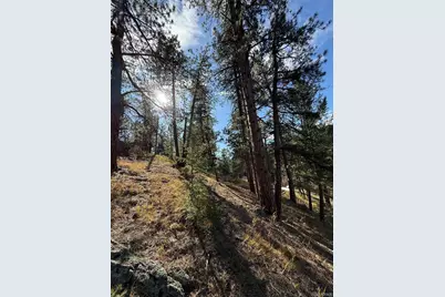 7438 S Turkey Creek Road, Morrison, CO 80465 - Photo 12